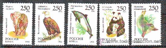 Briefmarken: RUSIA****.1993.FAUNA ANIMALES.5 VALORES  NUEVOS SIN FIJASELLOS.SERIE COMPLETA.