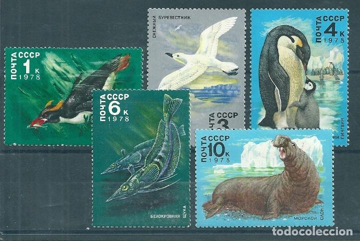 Sellos: URSS n&ordm; 4498/502 (Yvert) a&ntilde;o 1978. - Foto 1