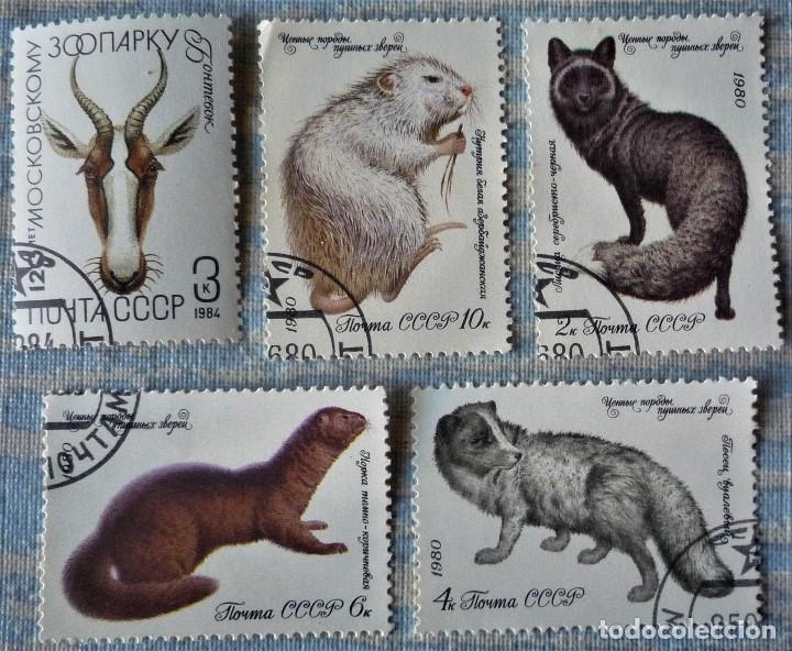 Sellos: CINCO SELLOS DE RUSIA - Foto 1