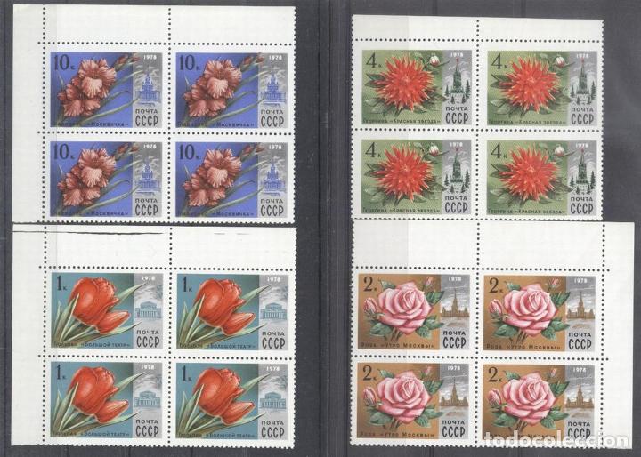 Briefmarken: Russia USSR 1978 Flowers x 4, MNH   AE.391