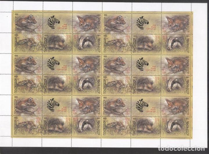 Stamps: Russia USSR 1989 Animals, Russian zoo, 6 sets + tab, full sheet, MNH   S.244