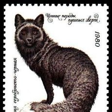 Sellos: RUSIA URSS 1980 SCOTT 4838 SELLO ** FAUNA ANIMALES RED FOX (VULPES VULPES VAR.) ZORRO MICHEL 4968