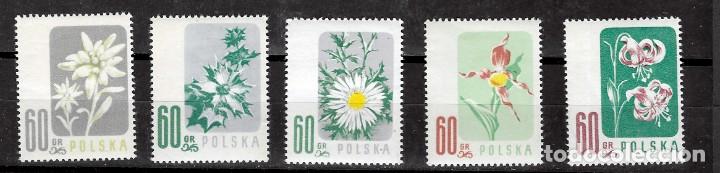 Sellos: RUSSIA N&ordm; 904 AL 908 (**) - Foto 1