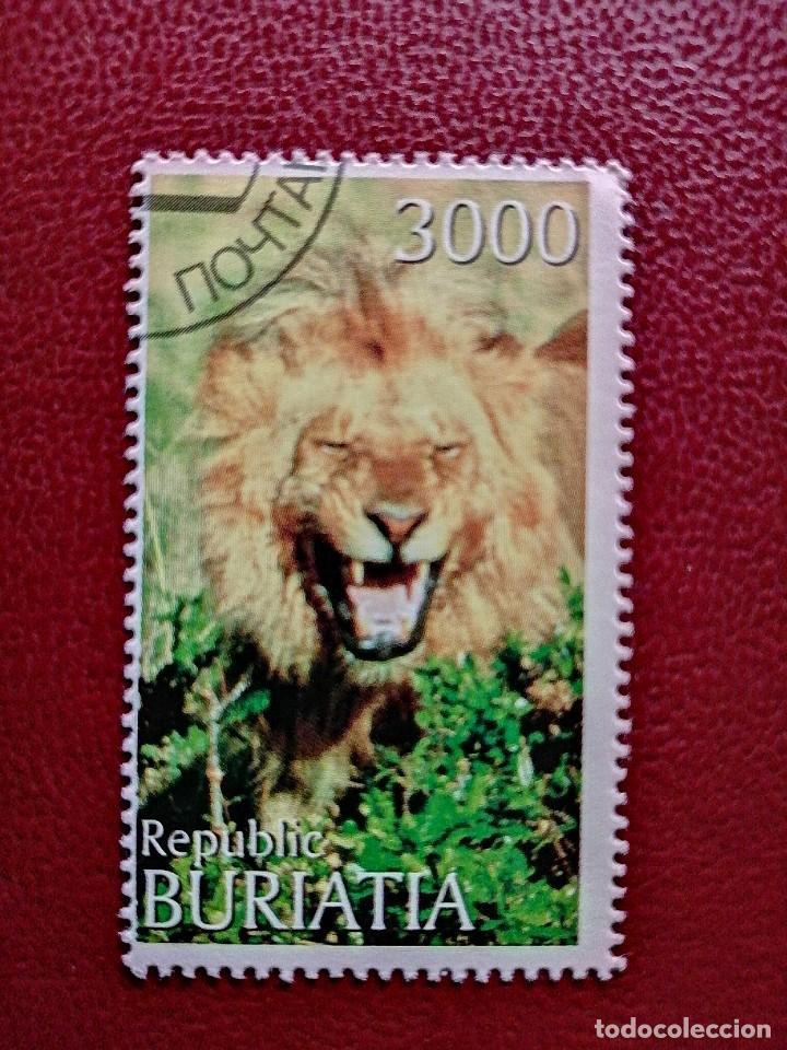 Selos: BURIATIA - REP&Uacute;BLICA DE RUSIA - VALOR FACIAL 3000 - ANIMALES SALVAJES - LE&Oacute;N