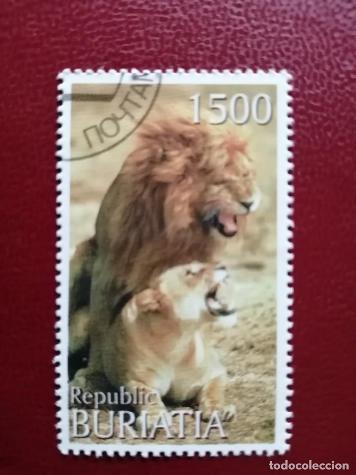 Selos: BURIATIA - REP&Uacute;BLICA DE RUSIA - VALOR FACIAL 1500 - ANIMALES SALVAJES - LE&Oacute;N Y LEONA