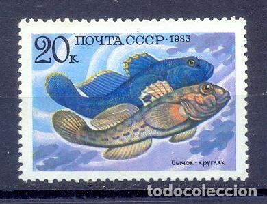 Sellos: Rusia 1983, peces - Foto 1
