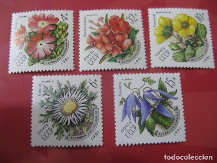 Briefmarken: +rusia,1981, flores de los carpatos, Yvert 4802/06