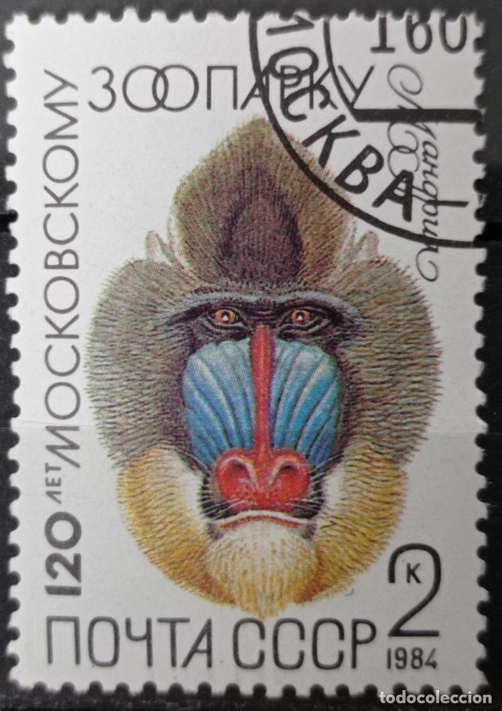 Sellos: Sellos Rusia - Foto 1