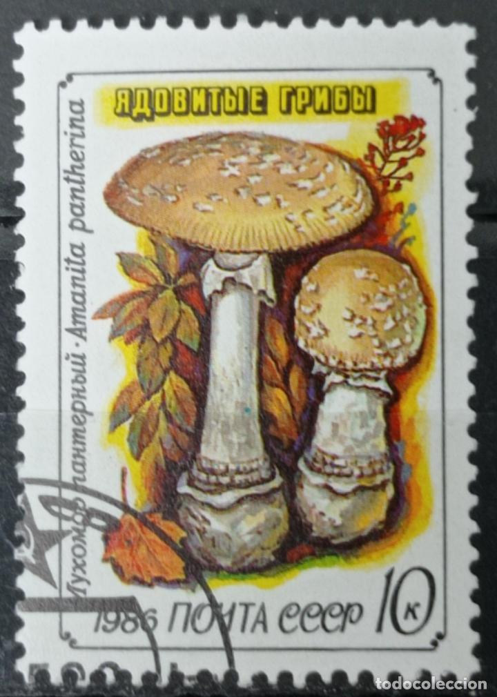 Sellos: Sellos Rusia - Foto 1