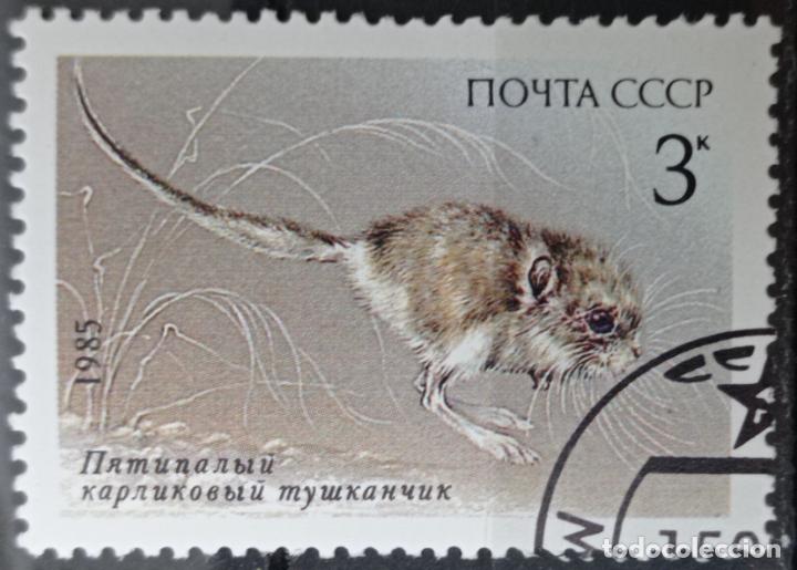 Sellos: Sellos Rusia - Foto 1