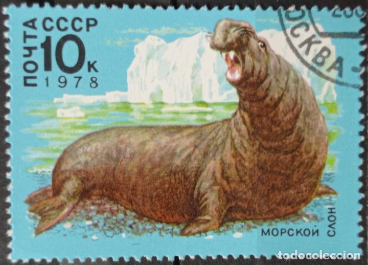 Sellos: Sellos Rusia - Foto 1