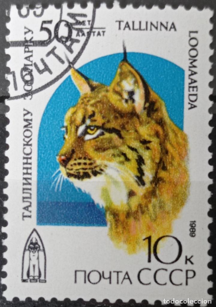 Sellos: Sellos Rusia - Foto 1