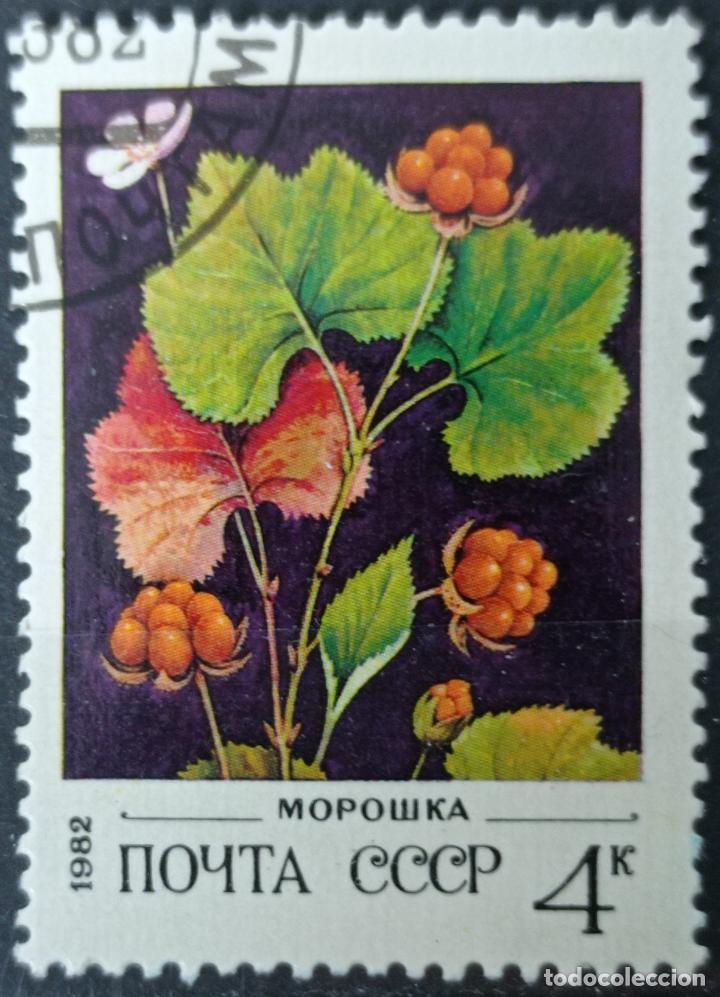 Sellos: Sellos Rusia - Foto 1