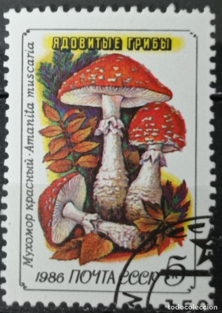Sellos: Sellos Rusia - Foto 1