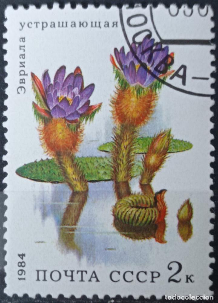 Sellos: Sellos Rusia - Foto 1