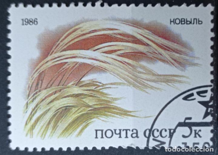 Sellos: Sellos Rusia - Foto 1