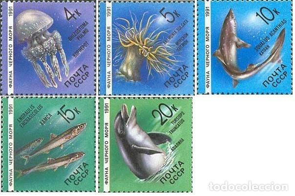 Timbres: &iexcl;&iexcl;OCASI&Oacute;N!! RUSIA URSS 1991 RESTO COLECCI&Oacute;N MNH** Fauna del Mar Negro. 5818-5822