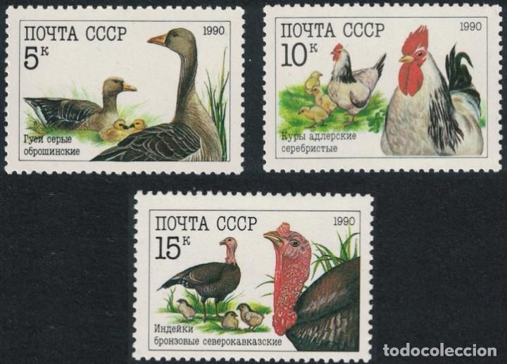 Timbres: &iexcl;&iexcl;OCASI&Oacute;N!! RUSIA URSS 1990 RESTO COLECCI&Oacute;N MNH** Aves de corral. 5764-5766