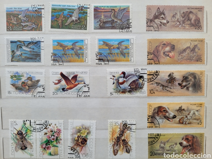 Sellos: Sellos URSS - Foto 22