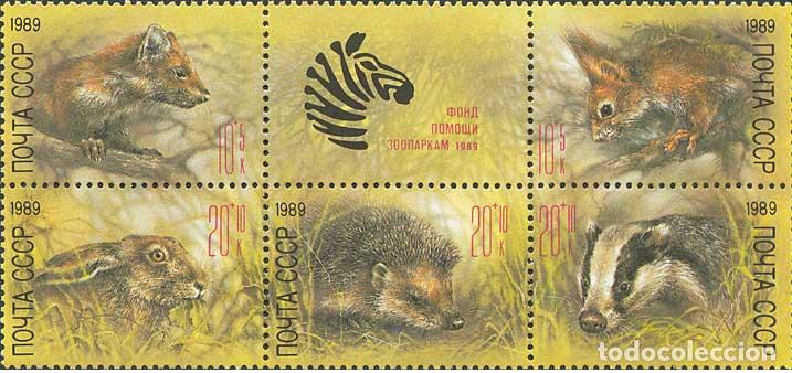 Timbres: &iexcl;&iexcl;OCASI&Oacute;N!! RUSIA URSS 1989 RESTO COLECCI&Oacute;N MNH** Fondo de ayuda para zool&oacute;gicos. 5935-5939Zf