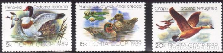 Timbres: &iexcl;&iexcl;OCASI&Oacute;N!! RUSIA URSS 1989 RESTO COLECCI&Oacute;N MNH** patos 5965-5967