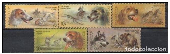 Timbres: &iexcl;&iexcl;OCASI&Oacute;N!! RUSIA URSS 1988 RESTO COLECCI&Oacute;N MNH**Perros de caza. 5827-5831