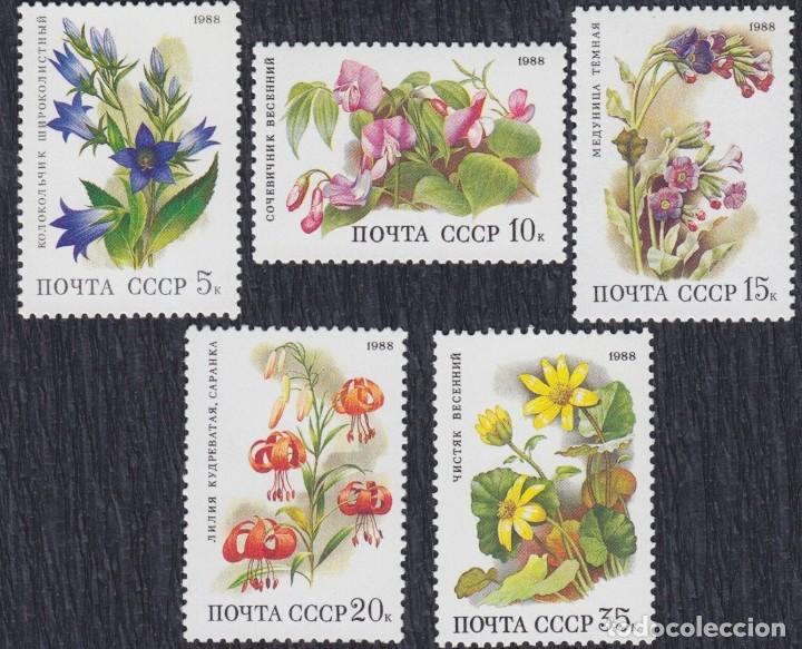 Timbres: &iexcl;&iexcl;OCASI&Oacute;N!! RUSIA URSS 1988 RESTO COLECCI&Oacute;N MNH**Flores del bosque caducifolio. 5847-5851