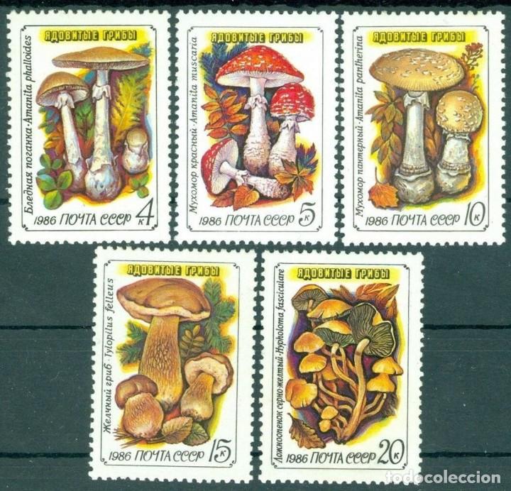 Sellos: &iexcl;&iexcl;OCASI&Oacute;N!! RUSIA URSS 1986 RESTO COLECCI&Oacute;N MNH** Hongos. 5603-5607