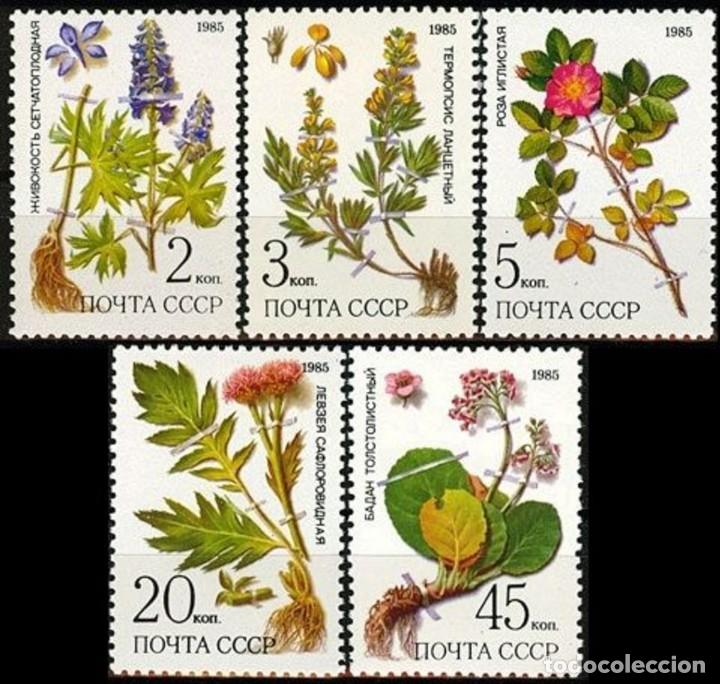 Sellos: &iexcl;&iexcl;OCASI&Oacute;N!! RUSIA URSS 1985 RESTO COLECCI&Oacute;N MNH**Plantas de Siberia. 5528-5532