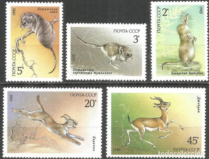 Sellos: &iexcl;&iexcl;OCASI&Oacute;N!! RUSIA URSS 1985 RESTO COLECCI&Oacute;N MNH**Animales Protegidos. 5537-5541