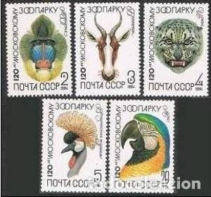 Sellos: &iexcl;&iexcl;OCASI&Oacute;N!! RUSIA URSS 1984 RESTO COLECCI&Oacute;N MNH**120 Aniversario del Zool&oacute;gico de Mosc&uacute;. 5356-5360