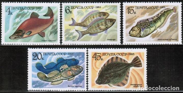 Sellos: &iexcl;&iexcl;OCASI&Oacute;N!! RUSIA URSS 1983 RESTO COLECCI&Oacute;N MNH**Peces. 5294-5298