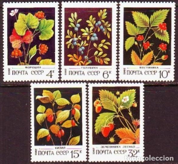 Timbres: &iexcl;&iexcl;OCASI&Oacute;N!! RUSIA URSS 1982 RESTO COLECCI&Oacute;N MNH**Frutas del bosque. 5155-5159