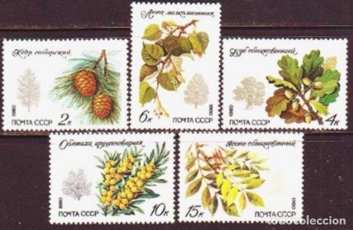 Sellos: &iexcl;&iexcl;OCASI&Oacute;N!! RUSIA URSS 1980 RESTO COLECCI&Oacute;N MNH**&Aacute;rboles y arbustos protegidos. 5002-5006