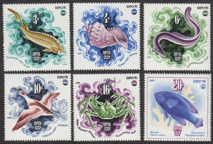 Briefmarken: &iexcl;&iexcl;OCASI&Oacute;N!! RUSIA URSS 1975 MNH** Fauna. Peces Exposici&oacute;n &rdquo;EXPO-75&rdquo;. El Mar y su Futuro. 4376-4381