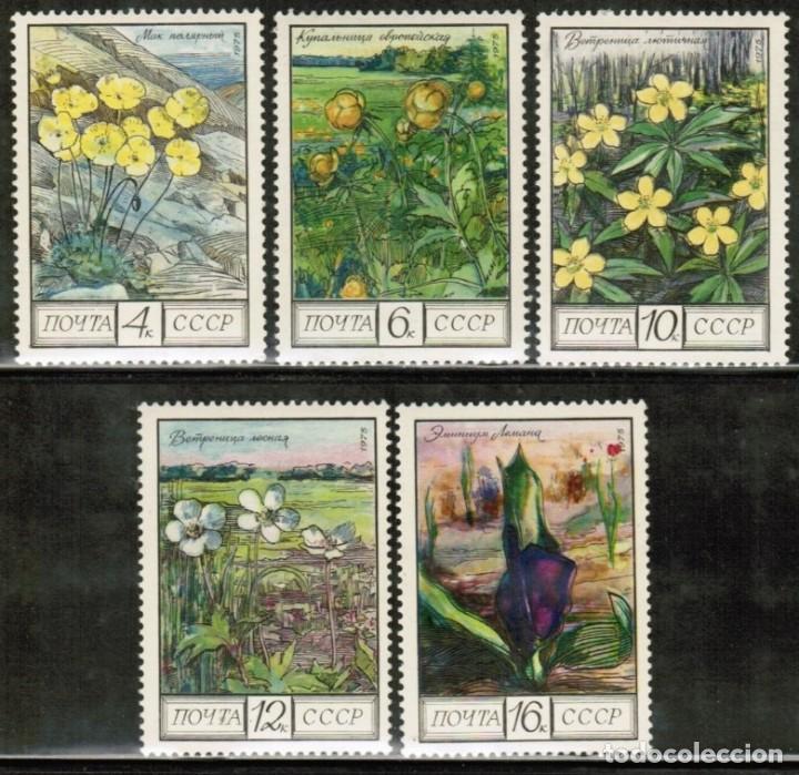 Selos: &iexcl;&iexcl;OCASI&Oacute;N!! RUSIA URSS 1975 MNH**flores 4428-4432