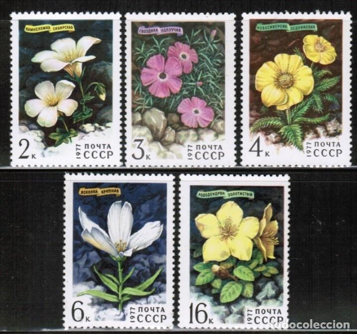 Selos: &iexcl;&iexcl;OCASI&Oacute;N!! RUSIA URSS 1977 MNH**Flores siberianas. 4592-4596