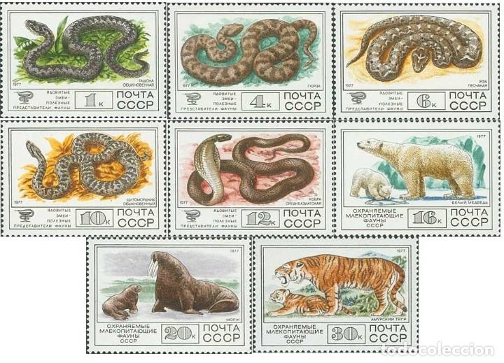 Selos: &iexcl;&iexcl;OCASI&Oacute;N!! RUSIA URSS 1977 MNH**Fauna de la URSS. 4678-4685