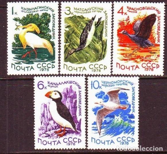 Stamps: &iexcl;&iexcl;OCASI&Oacute;N!! RUSIA URSS 1976 MNH** Reservas Naturales. Aves Acu&aacute;ticas. 4506-4510