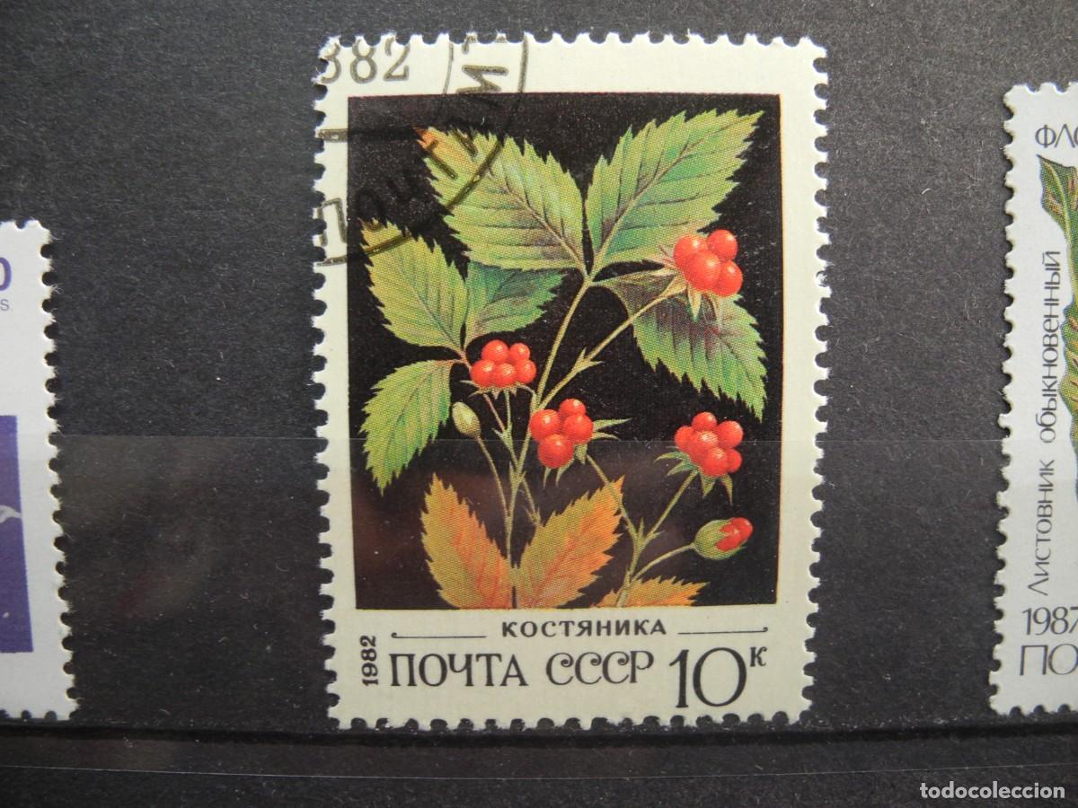 Sellos: Rusia CCCP 1982.Yvert: 4889. Zarza - Foto 1