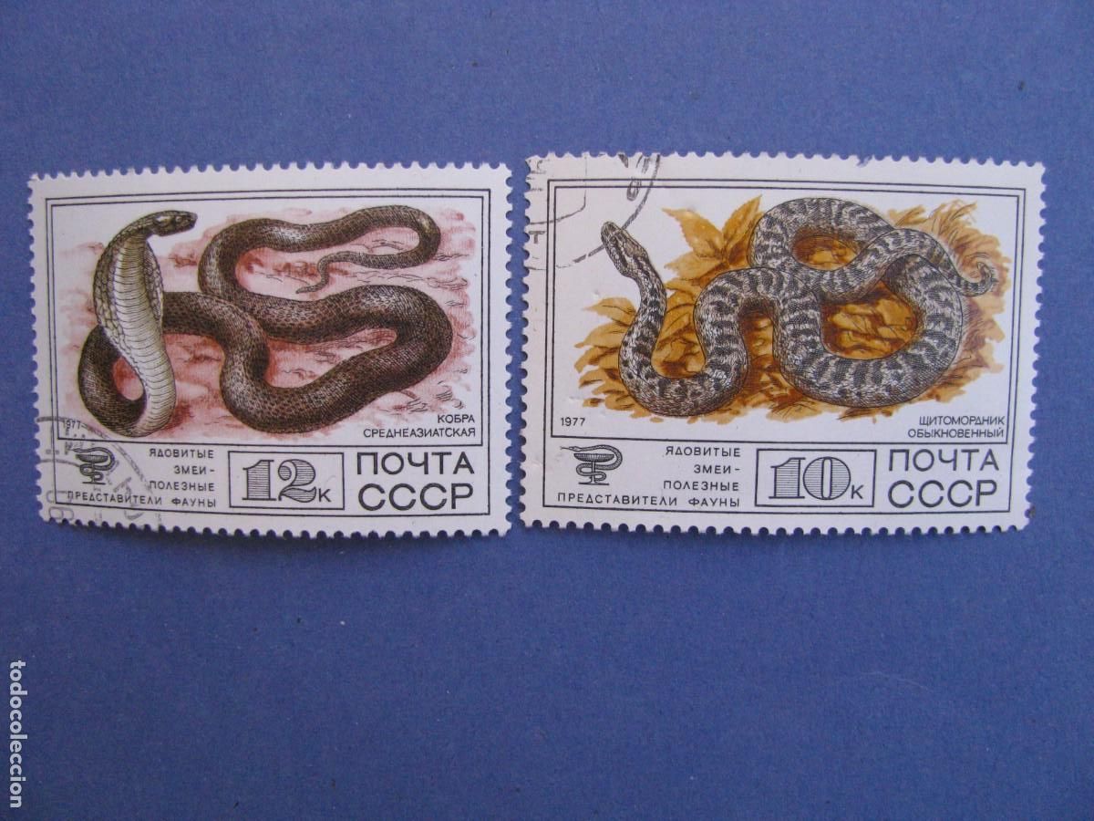 Sellos: SELLOS DE URSS. SERPIENTES VENENOSAS. 1977, - Foto 1