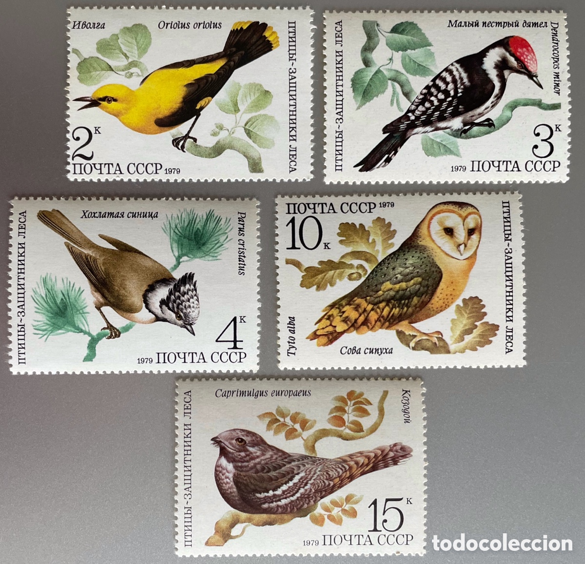 Sellos: Rusia. Aves. 1979 - Foto 1