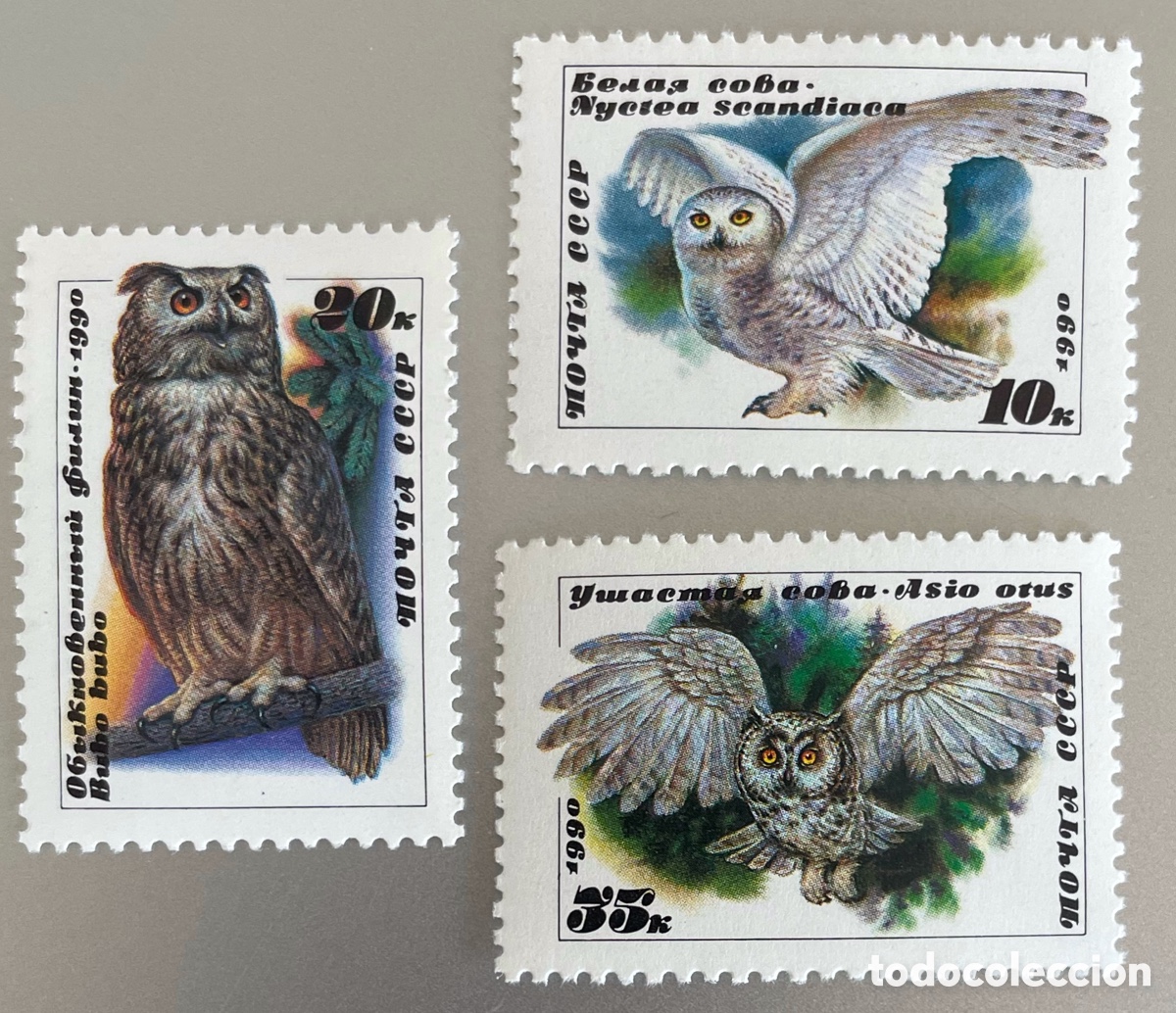 Sellos: URSS. Uni&oacute;n Sovi&eacute;tica. Aves. Buhos. 1990 - Foto 1