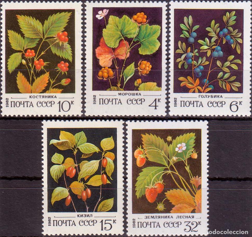 Sellos: URSS 1982 Frutas del bosque Bayas MNH - Foto 1