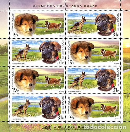 Sellos: Rusia 2016 Perros MNH - Foto 1