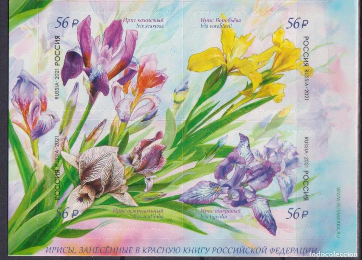 Sellos: Rusia 2021 flores MNH - Foto 1