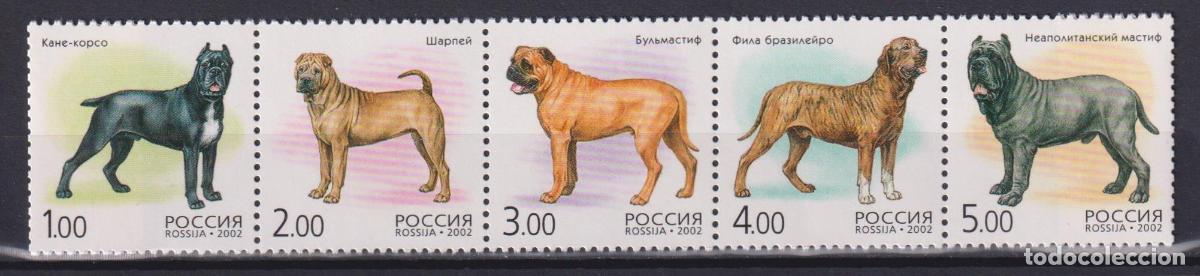 Sellos: Rusia 2002 Perros Perros MNH - Foto 1