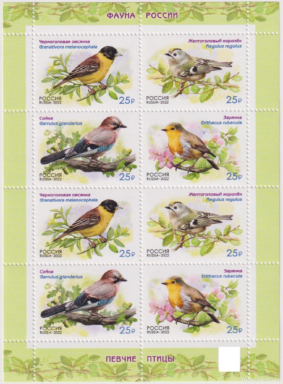 Sellos: Rusia 2022 Aves MNH - Foto 1