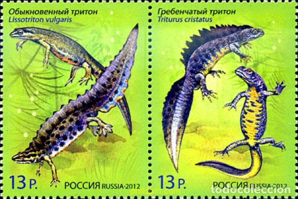Sellos: 291159 MNH RUSIA 2012 - Foto 1