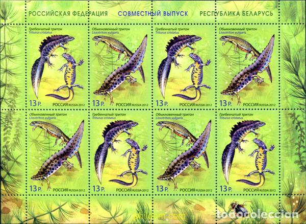Sellos: 310584 MNH RUSIA 2012 - Foto 1